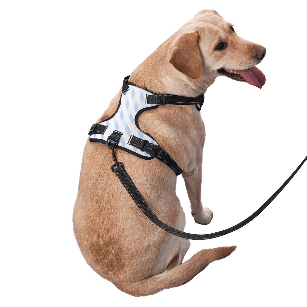 Durable Oxford Cloth Pet Leash and Vest Combo