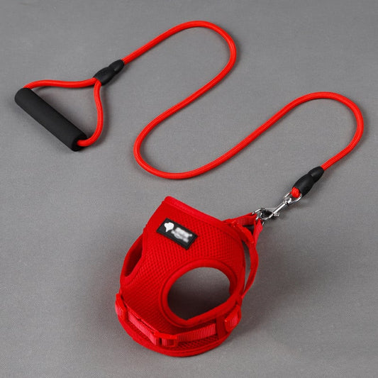 Dog Leash and Collar Set for Pets