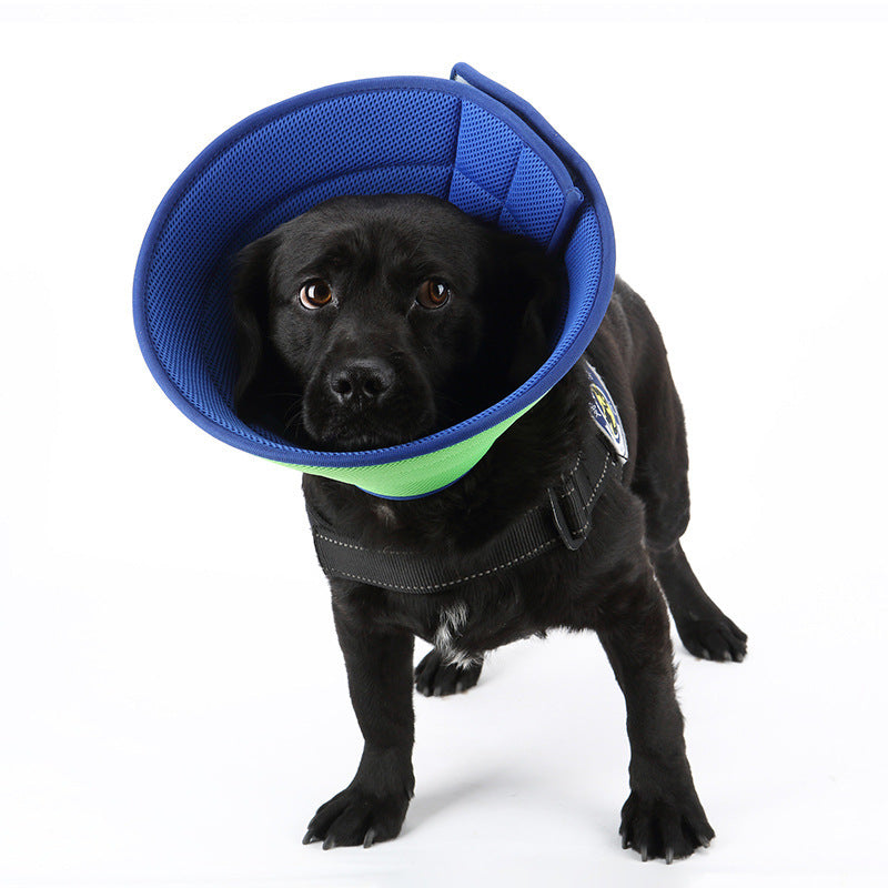 Transparent Anti-Bite Recovery Collar for Pets