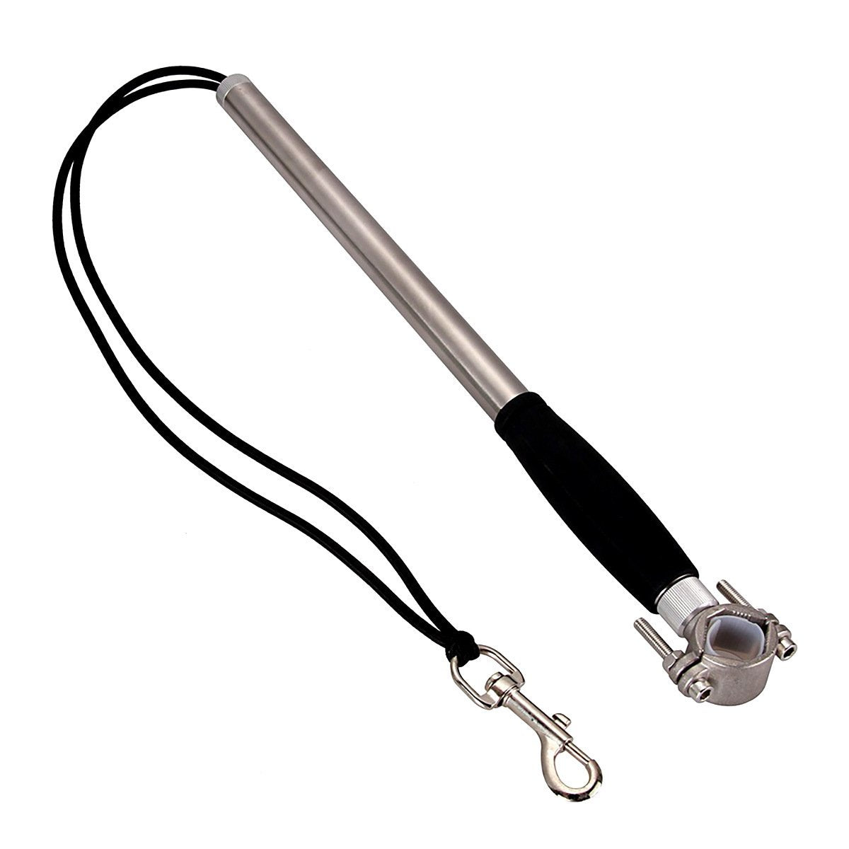 Stainless Steel Dog Leash for Biking Adventures