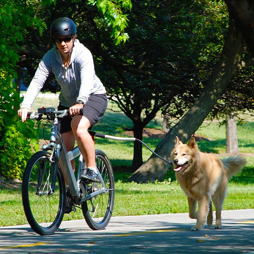 Stainless Steel Dog Leash for Biking Adventures
